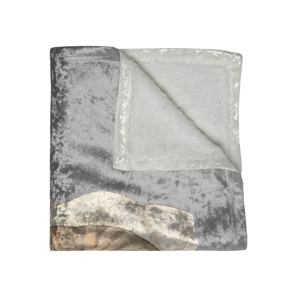 Crushed Velvet Blanket — Cozy Cat Sleeping Print Throw